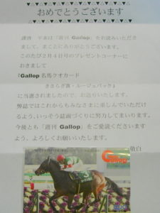 Gallop ギャロップ Quo クオカード　『ルージュバック』　きさらぎ賞　戸崎圭太-02